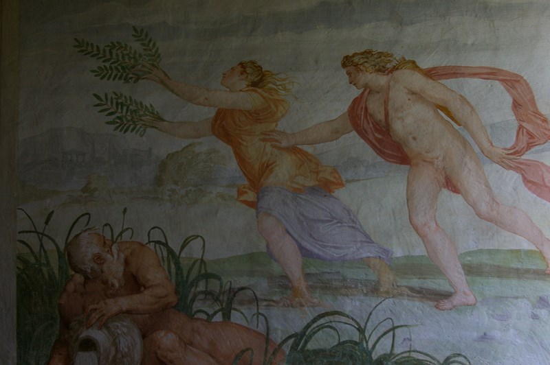 Salone Apollo e Dafne