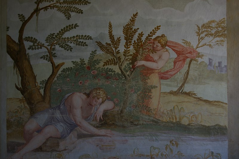 Salone Narciso ed Echo