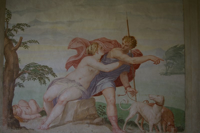 Salone Venere e Adone